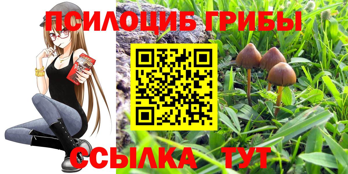 Галлюциногенные грибы ЛСД  где продают наркотики  Новодвинск  Вход с VPN 