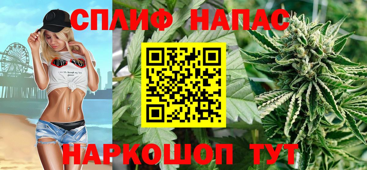 Каннабис SATIVA & INDICA Новодвинск